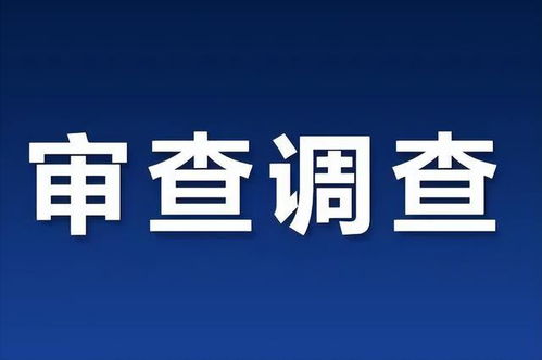 杭州中汇实业投资公司原总经理林志刚接受纪律审查和监察调查